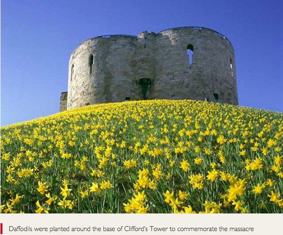 CHRC_Spotlight_Clifford's Tower flowers