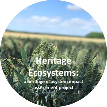 Button for the Heritage Ecosystems Project showing a wheat field