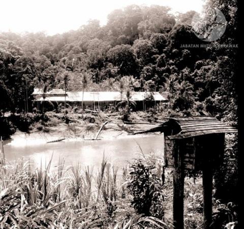 Long Jegan longhouse near the bank of the Tinjar river, 1956. Photograph from the archive of the Sarawak Museum