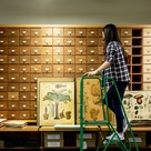 Student on ladder by archive drawers